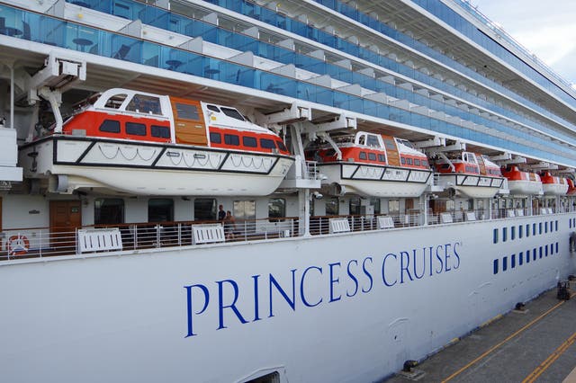 <p>Casi 100 personas enfermaron en un viaje de Princess Cruises este mes  </p>