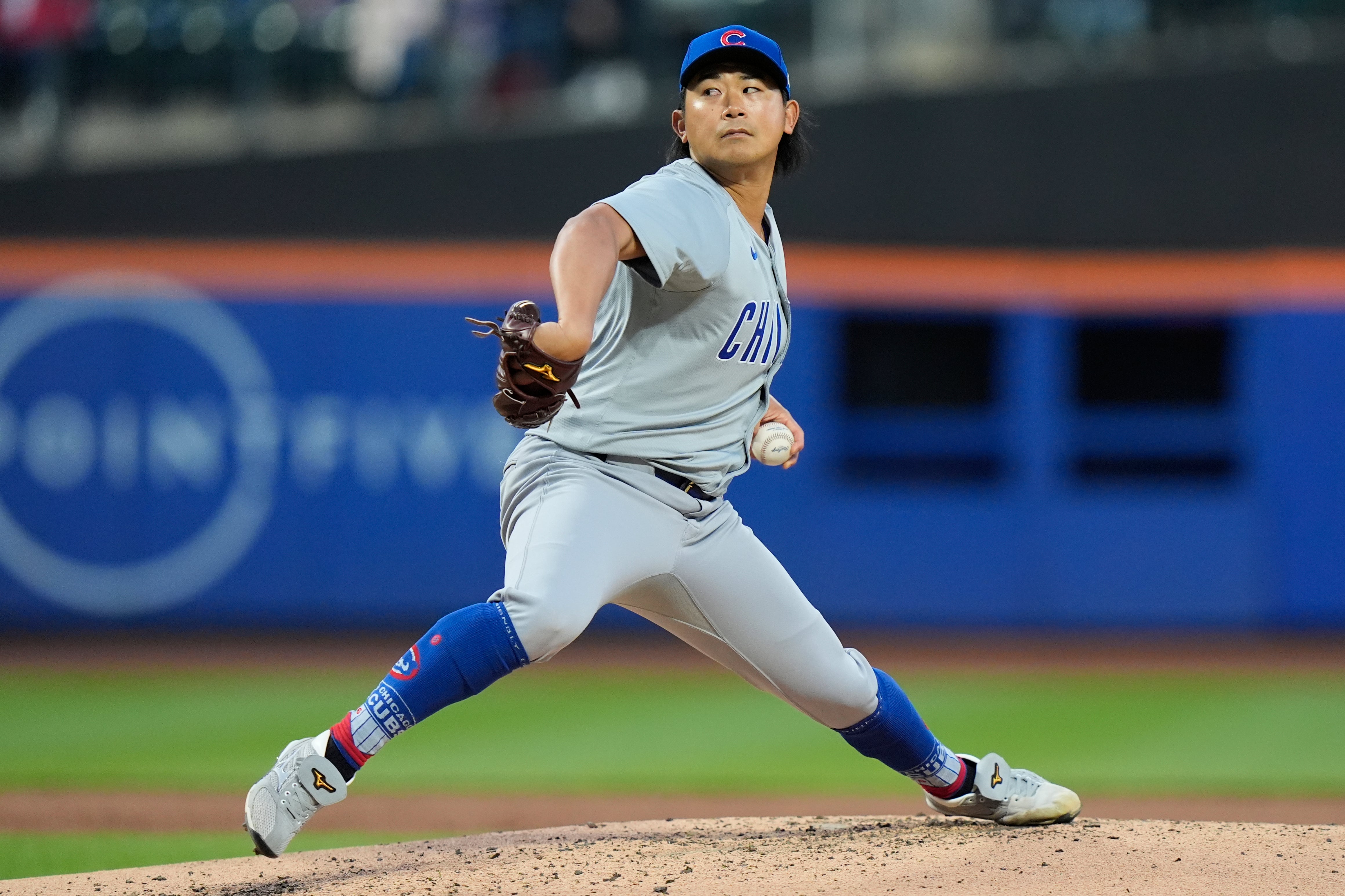 CACHORROS-METS