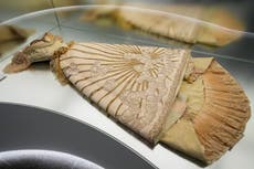 Exposición de la Gala del Met 2024: La Bella Durmiente despertaría con estos vestidos