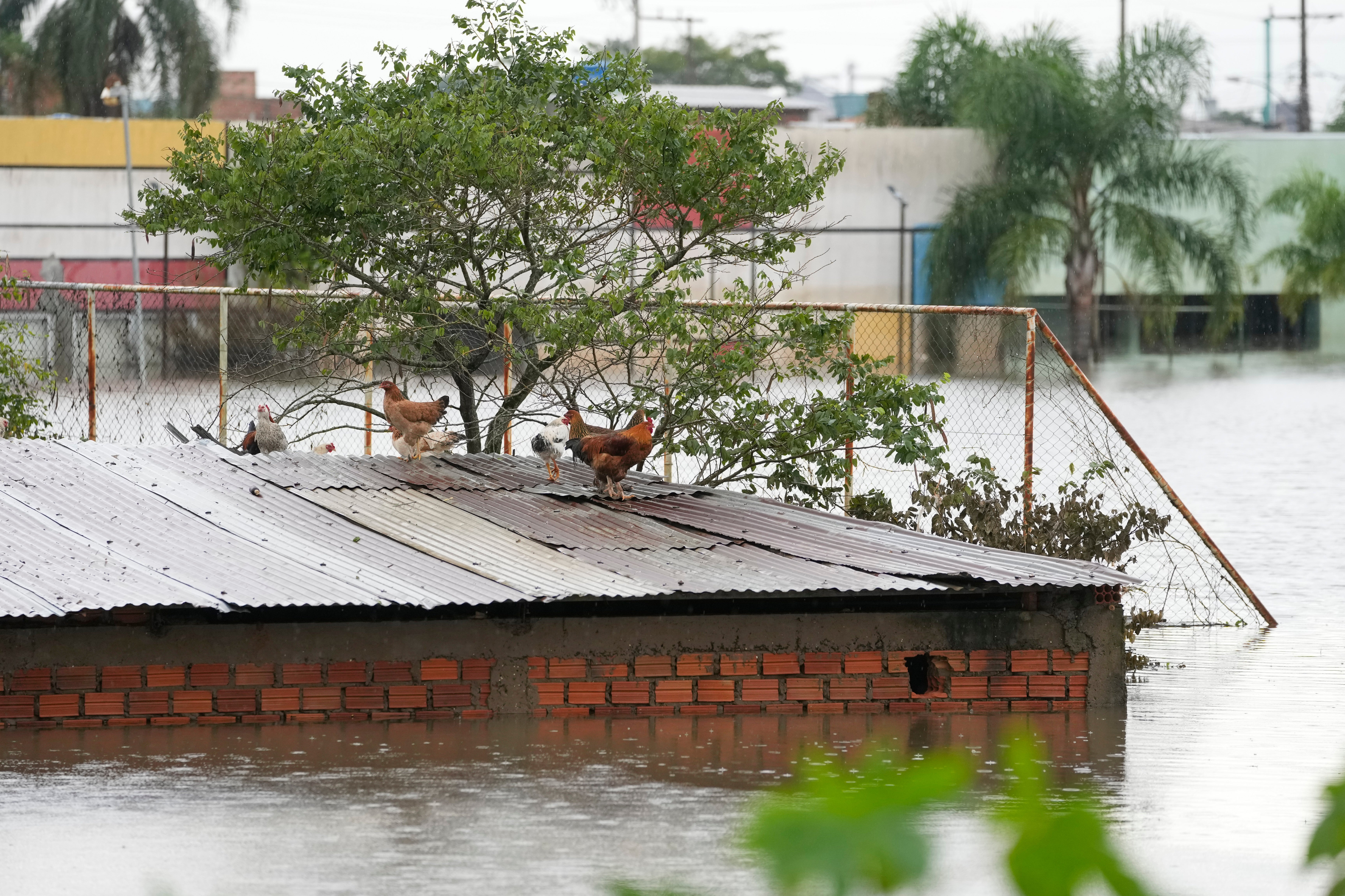 AMS-GEN BRASIL-INUNDACIONES-DESIGUALDAD