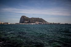 España advierte a embarcaciones sobre posibles embestidas de orcas en el estrecho de Gibraltar