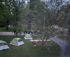 Manifestantes propalestinos ponen cadáveres falsos en casa de directiva de Universidad de Michigan