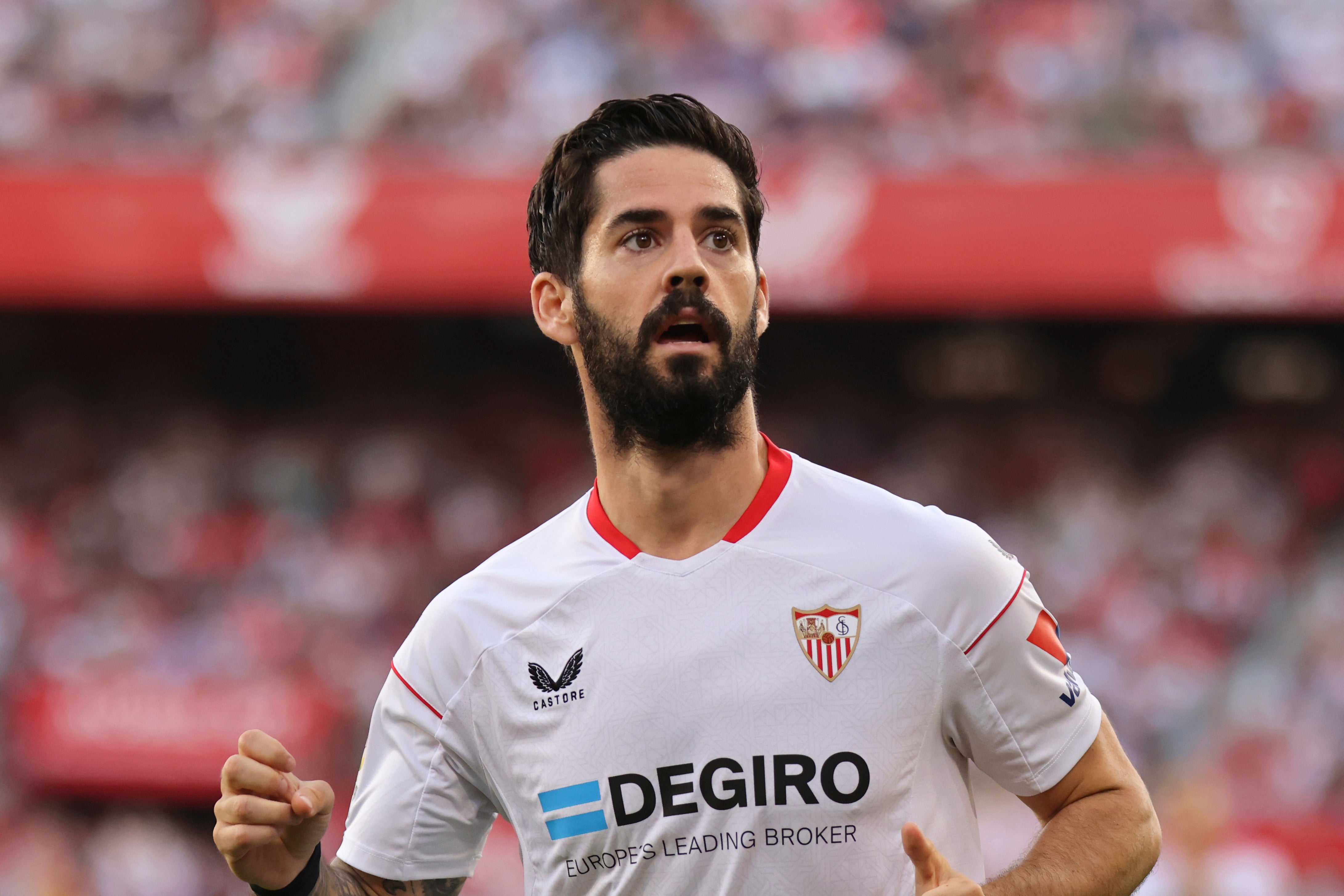 ISCO-LESIÓN