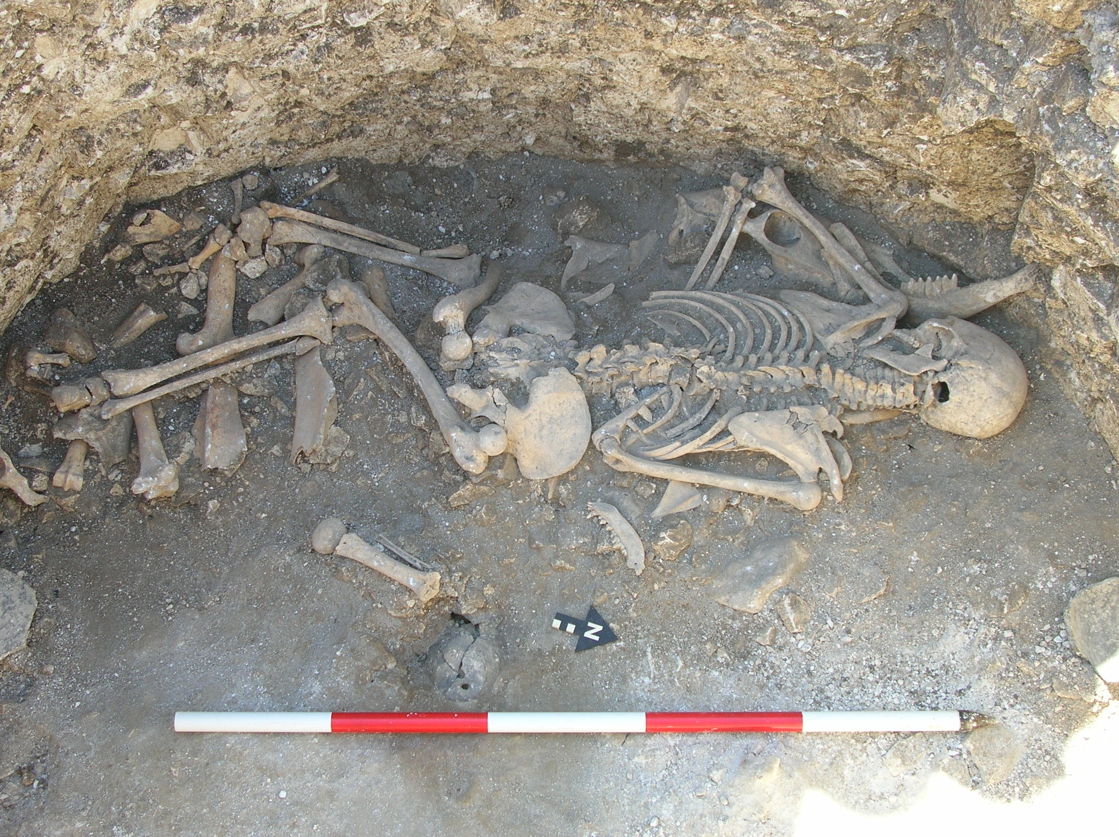 Se encontraron restos de una mujer que fue asesinada de una puñalada en el cuello, además de sufrir daños en una costilla, posiblemente infligidos con violencia, durante las excavaciones de un asentamiento prehistórico que data de hace 2.000 años en Winterborne Kingston, en el centro de Dorset