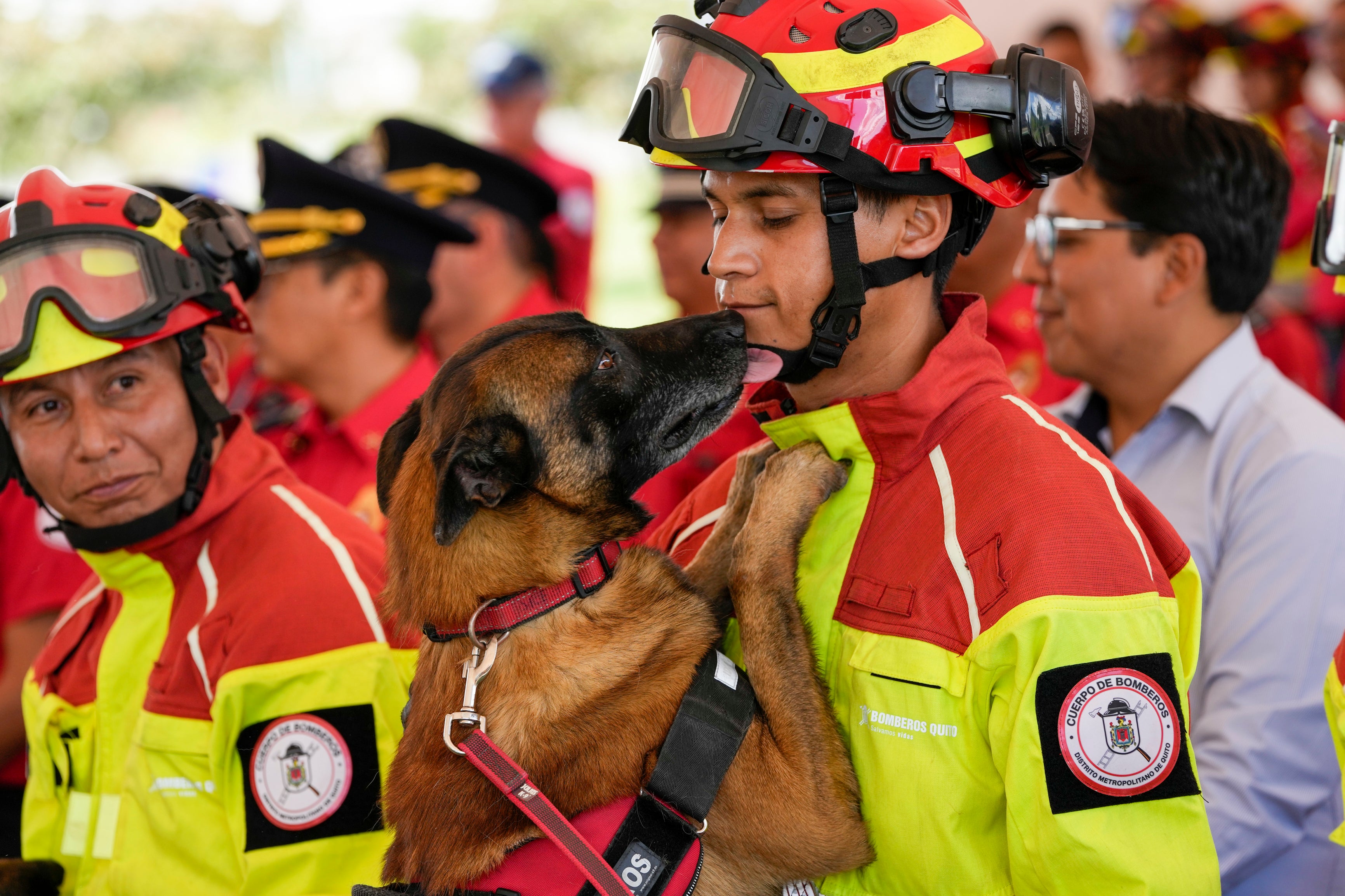AMS-GEN ECUADOR-PERROS BOMBERO-RETIRADA