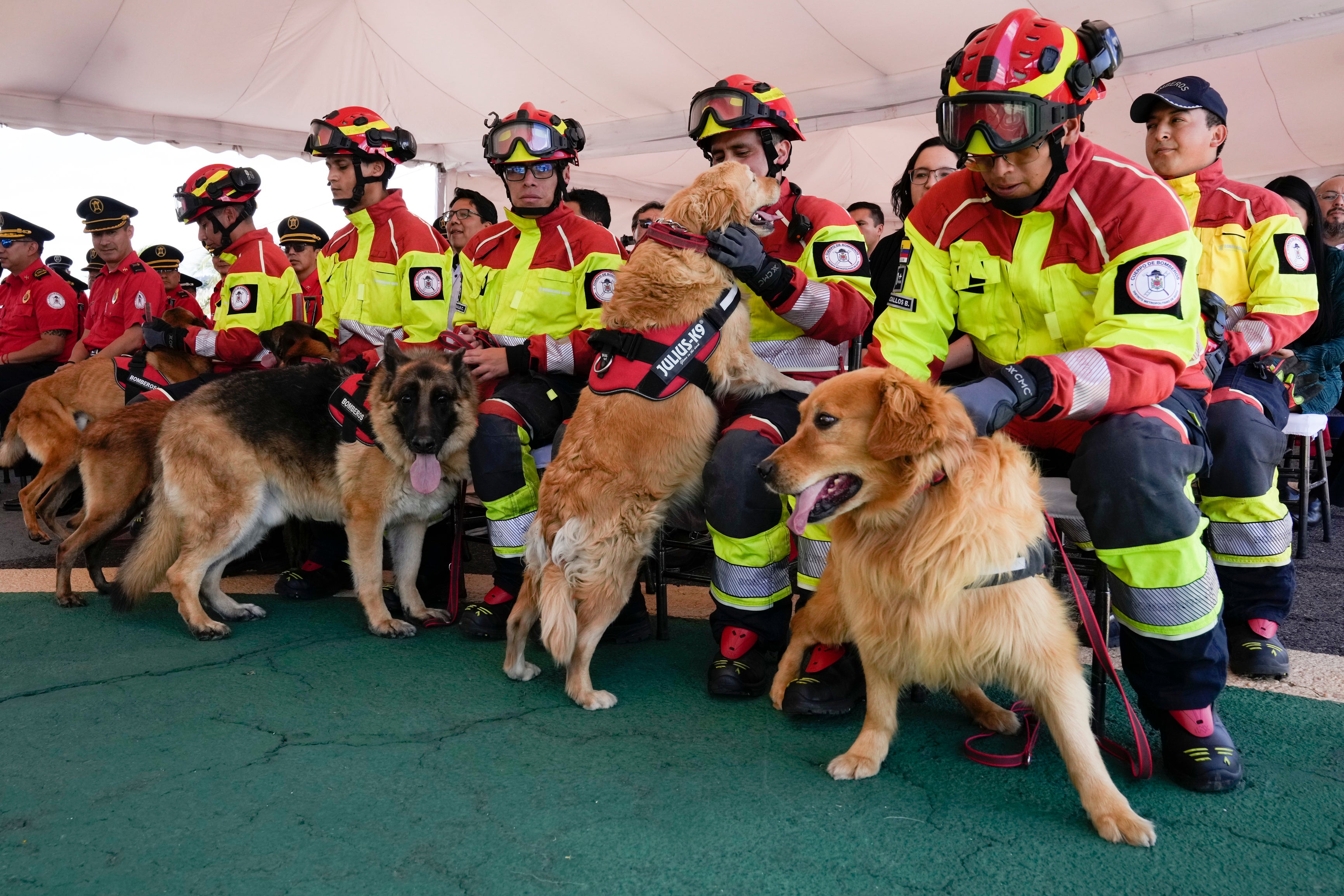 AMS-GEN ECUADOR-PERROS BOMBERO-RETIRADA