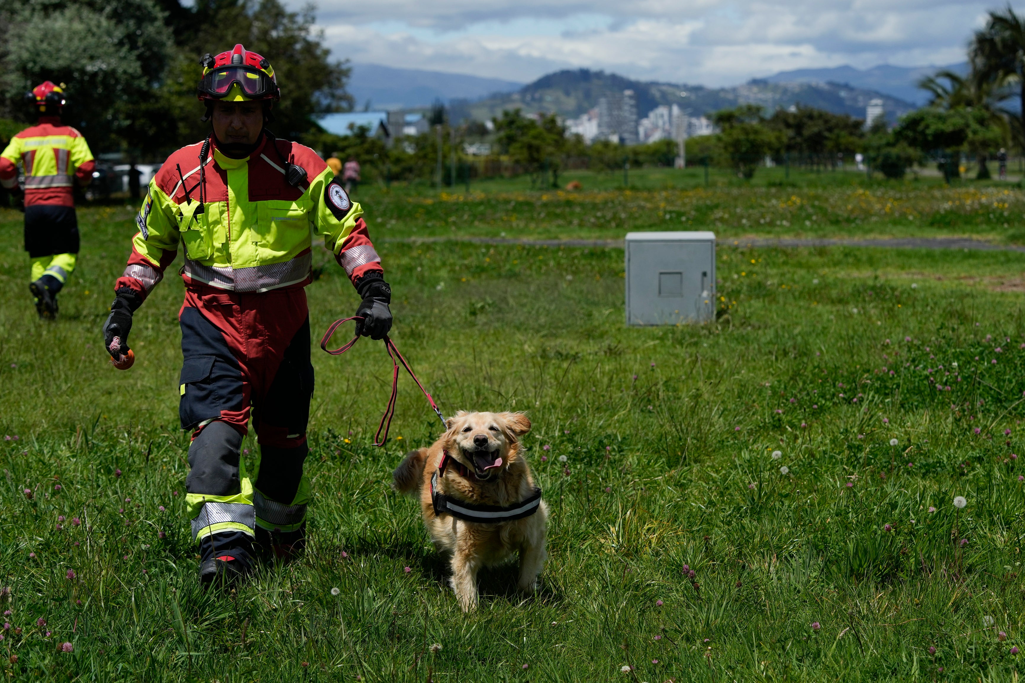 AMS-GEN ECUADOR-PERROS BOMBERO-RETIRADA