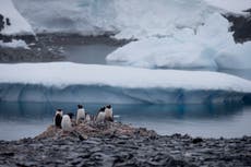 Comisión de Defensa de Chile se reúne en la Antártica en medio de roces por reclamos territoriales