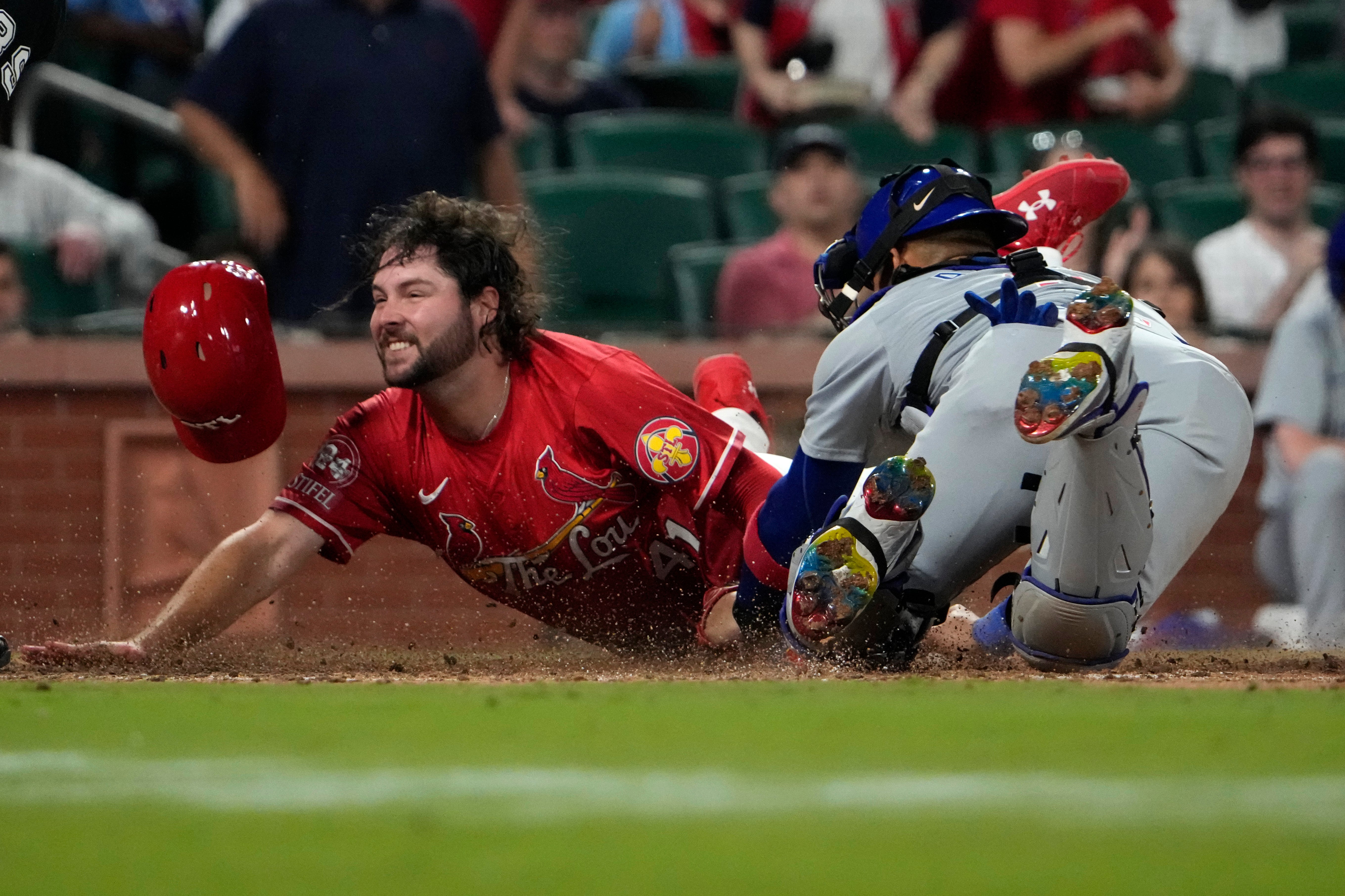 CACHORROS-CARDENALES