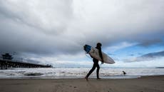 Cierran popular playa de California después de que un tiburón derribó a un surfista de su tabla
