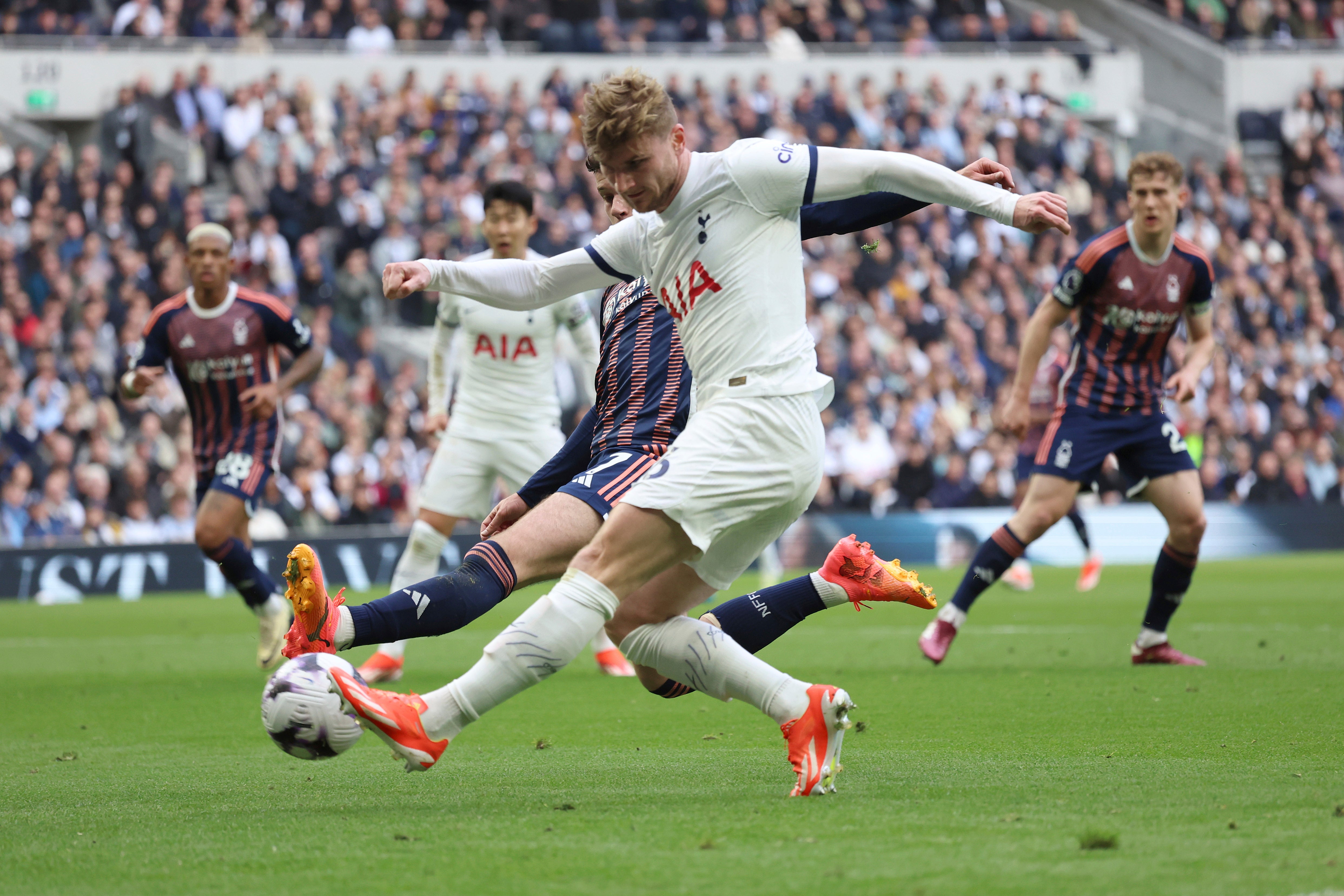 TOTTENHAM-WERNER