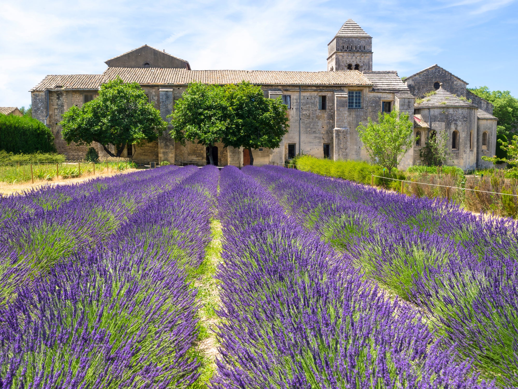 Vincent Van Gogh llega al monasterio de Saint Paul en mayo de 1889 en Saint-Remy de Provence