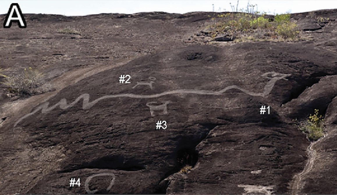 Los arqueólogos que exploran el valle del Orinoco han identificado hasta ahora siete grabados de serpientes gigantes, que miden entre 16 y 43 metros de longitud. El ejemplar de esta foto en particular mide 26 metros
