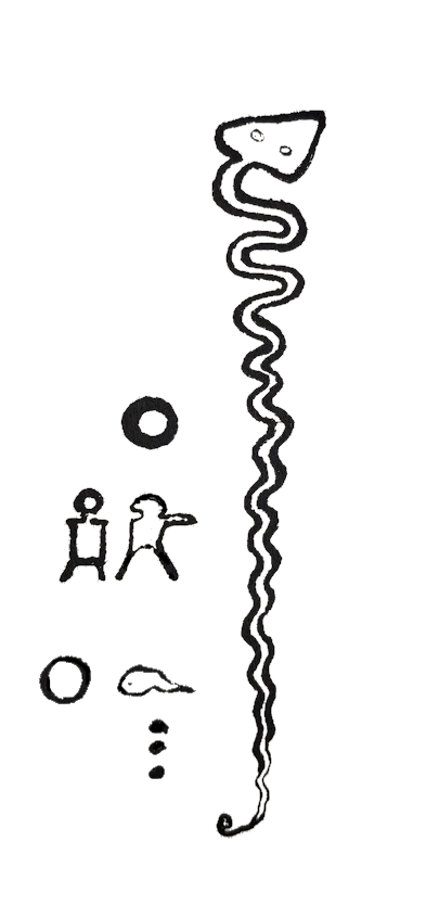 Dibujo de un grabado de una serpiente gigante realizado por un arqueólogo. Estaba tallado en una roca del valle del Orinoco y data de hace más de mil años. Asimismo, alrededor de la criatura había figuras de humanos pequeños