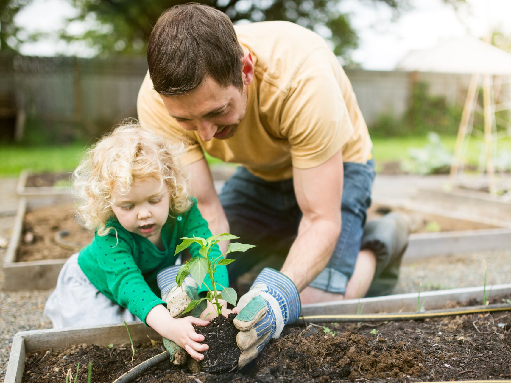 Cultivar la tierra y cuidar de la vida puede ser beneficioso a nivel social, por lo que los jardines comunitarios se han convertido en puntos de unión, vínculo y bienestar para muchas personas