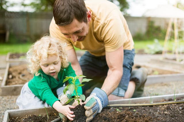 <p>Cultivar la tierra y cuidar de la vida puede ser beneficioso a nivel social, por lo que los jardines comunitarios se han convertido en puntos de unión, vínculo y bienestar para muchas personas</p>