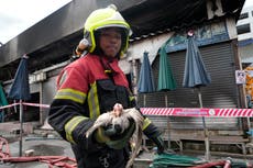 Incendio en conocido mercado de Chatuchak de Tailandia mata a cientos de animales enjaulados