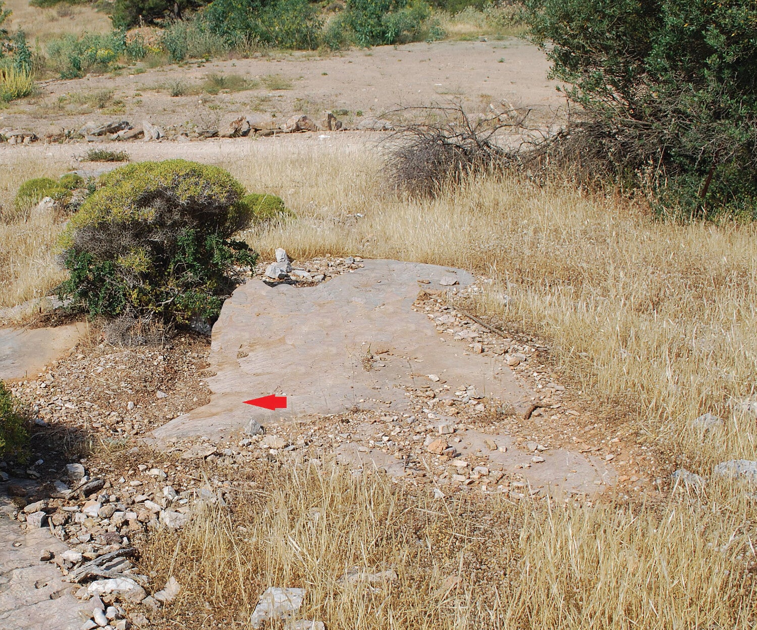 Área de roca firme donde se halló el grafiti (como indica la flecha): atrás puede verse un camino de tierra