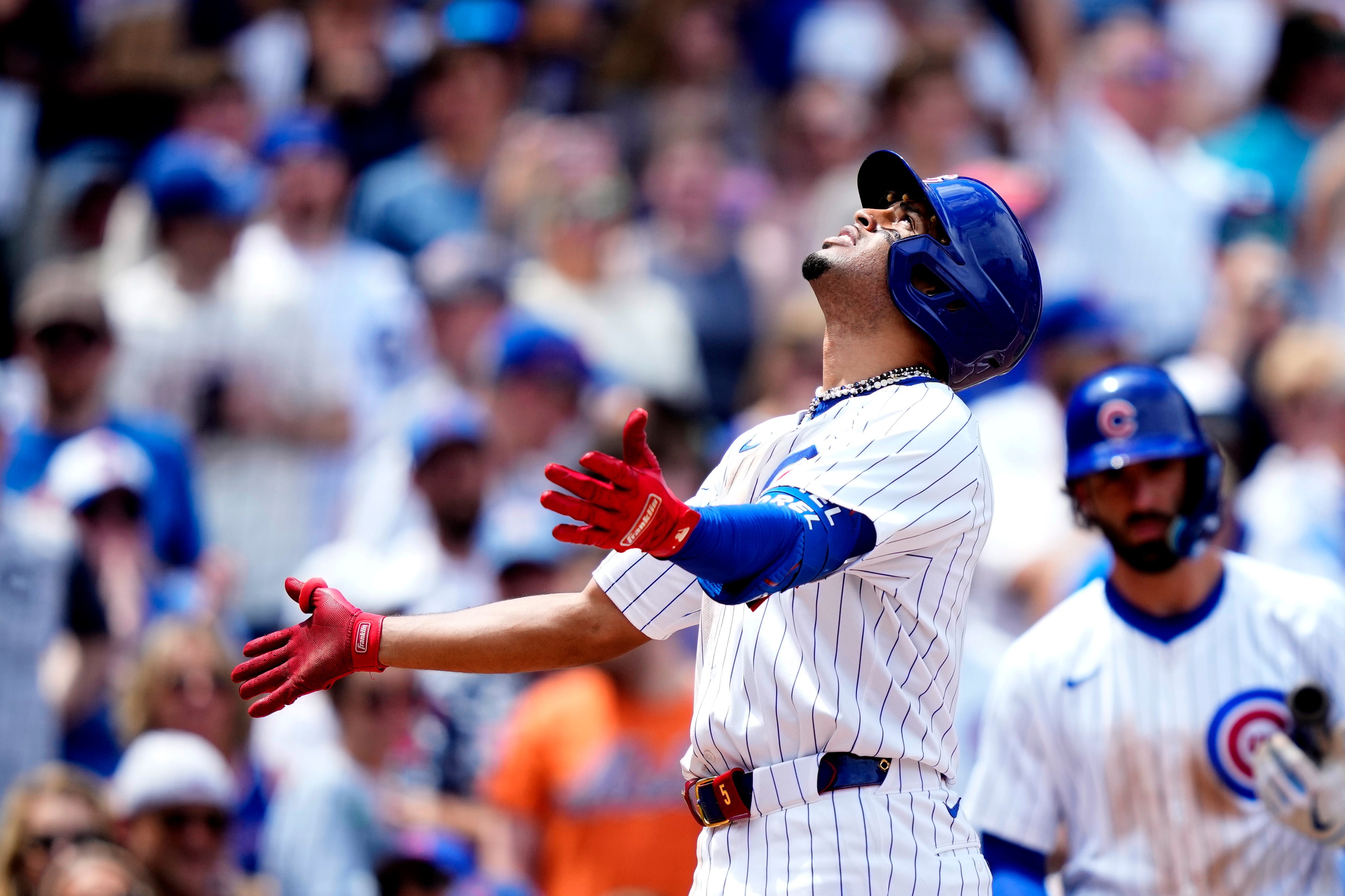 METS-CACHORROS