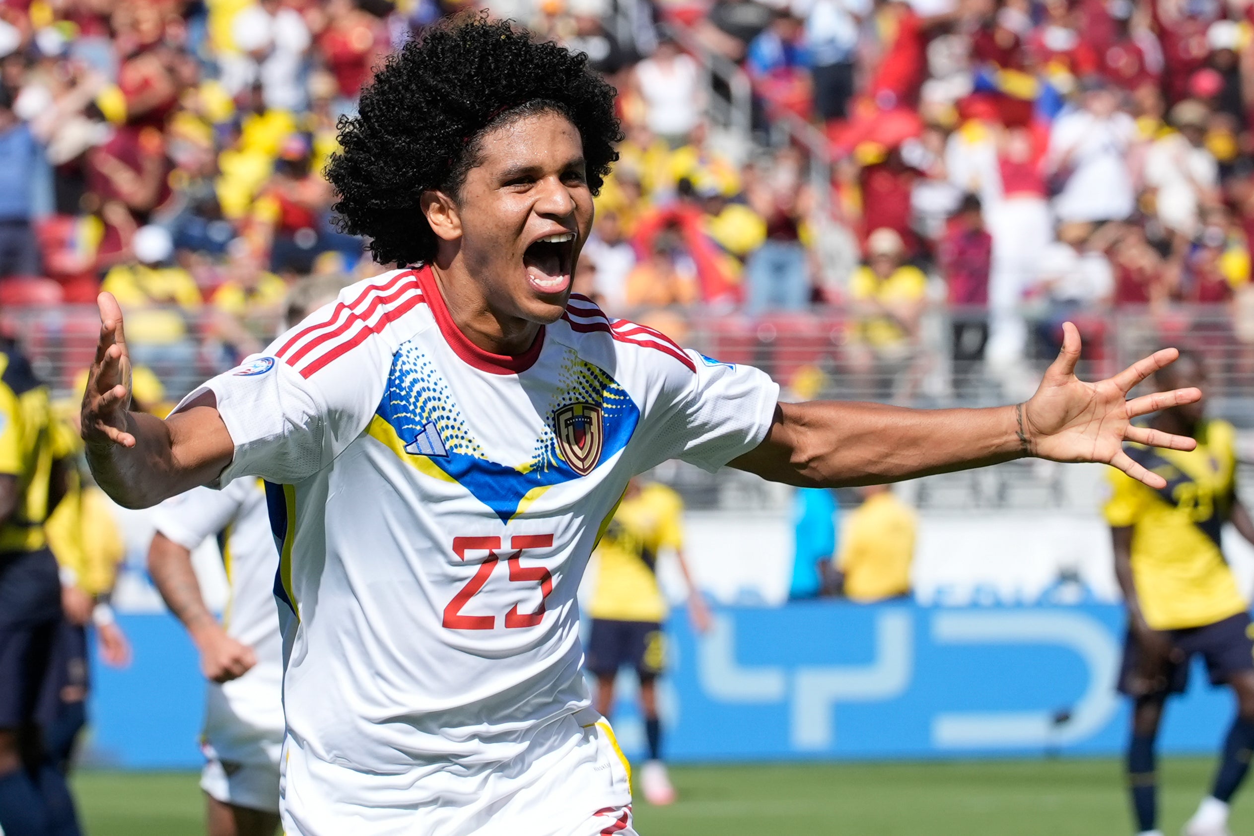 COPA AMÉRICA ECUADOR VENEZUELA