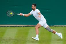 Djokovic y Murray incluidos en la llave de Wimbledon aunque sigue en duda