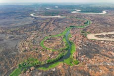 Aún no inicia temporada de incendios en humedales del Pantanal de Brasil y ya bate récords