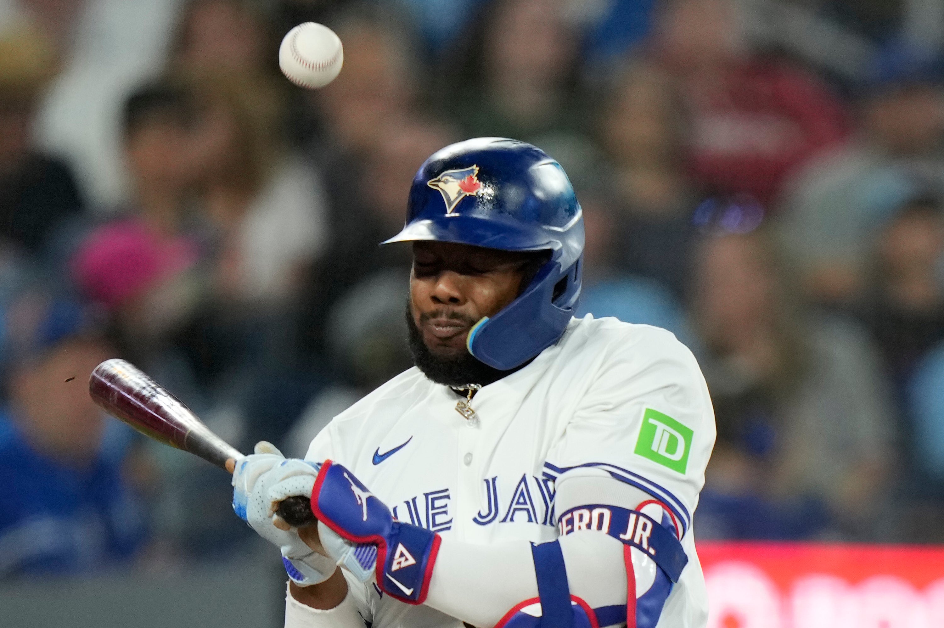 VLADIMIR GUERRERO JR.