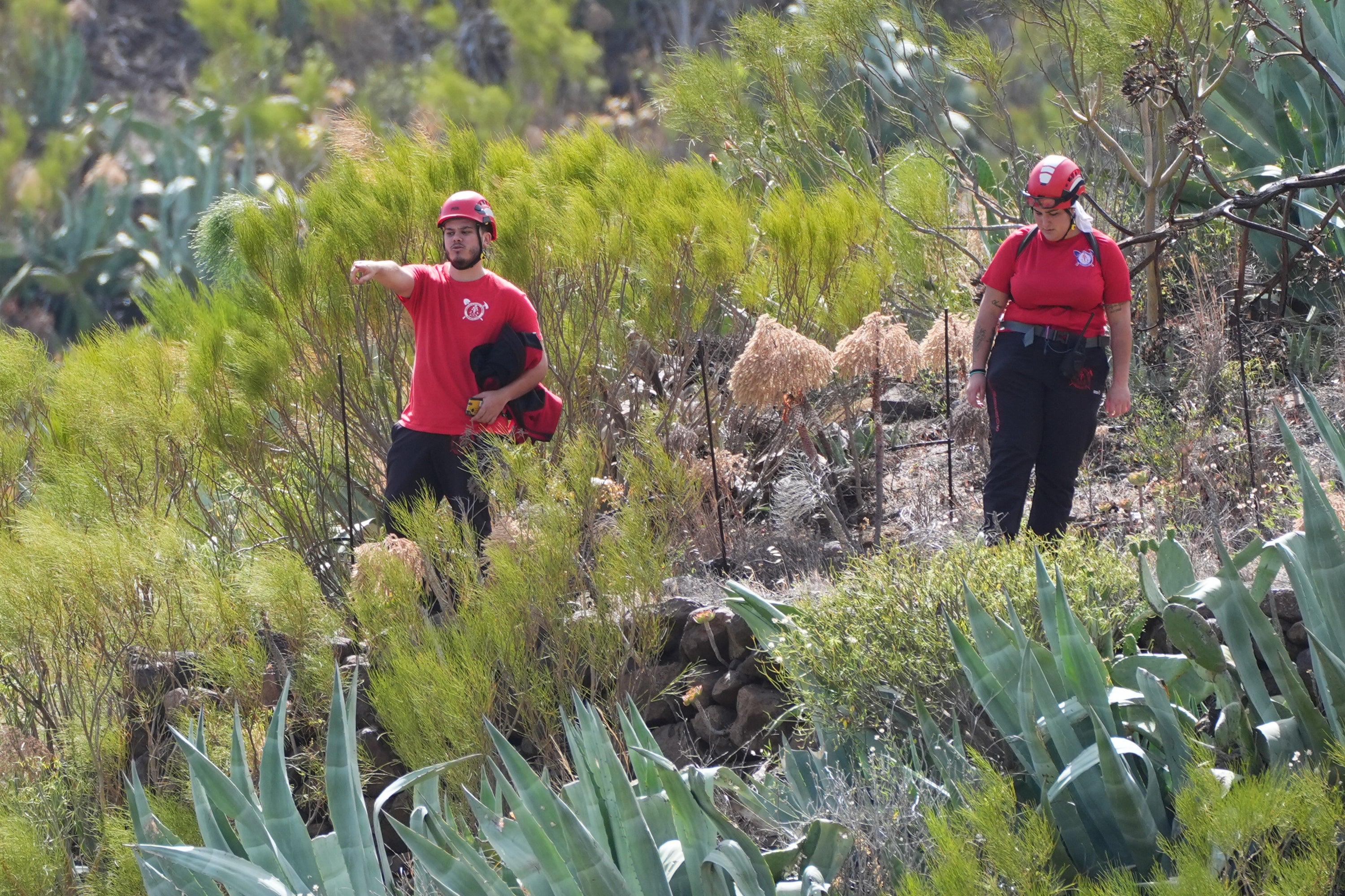 Poco después de su desaparición, se inició una frenética búsqueda del aprendiz de albañil. La policía, los equipos de rescate de montaña y los voluntarios recorrieron el terreno montañoso durante tres semanas