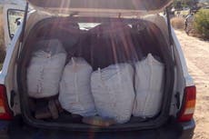 Cae bruscamente el decomiso de fentanilo en México este año