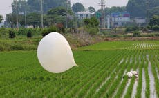 La hermana del líder norcoreano insinúa que podrían enviarse más globos con basura a Corea del Sur