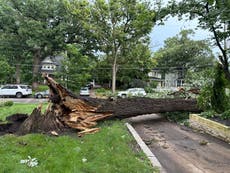 Tormentas con probables tornados azotan el área de Chicago, provocan un muerto y cortes de energía