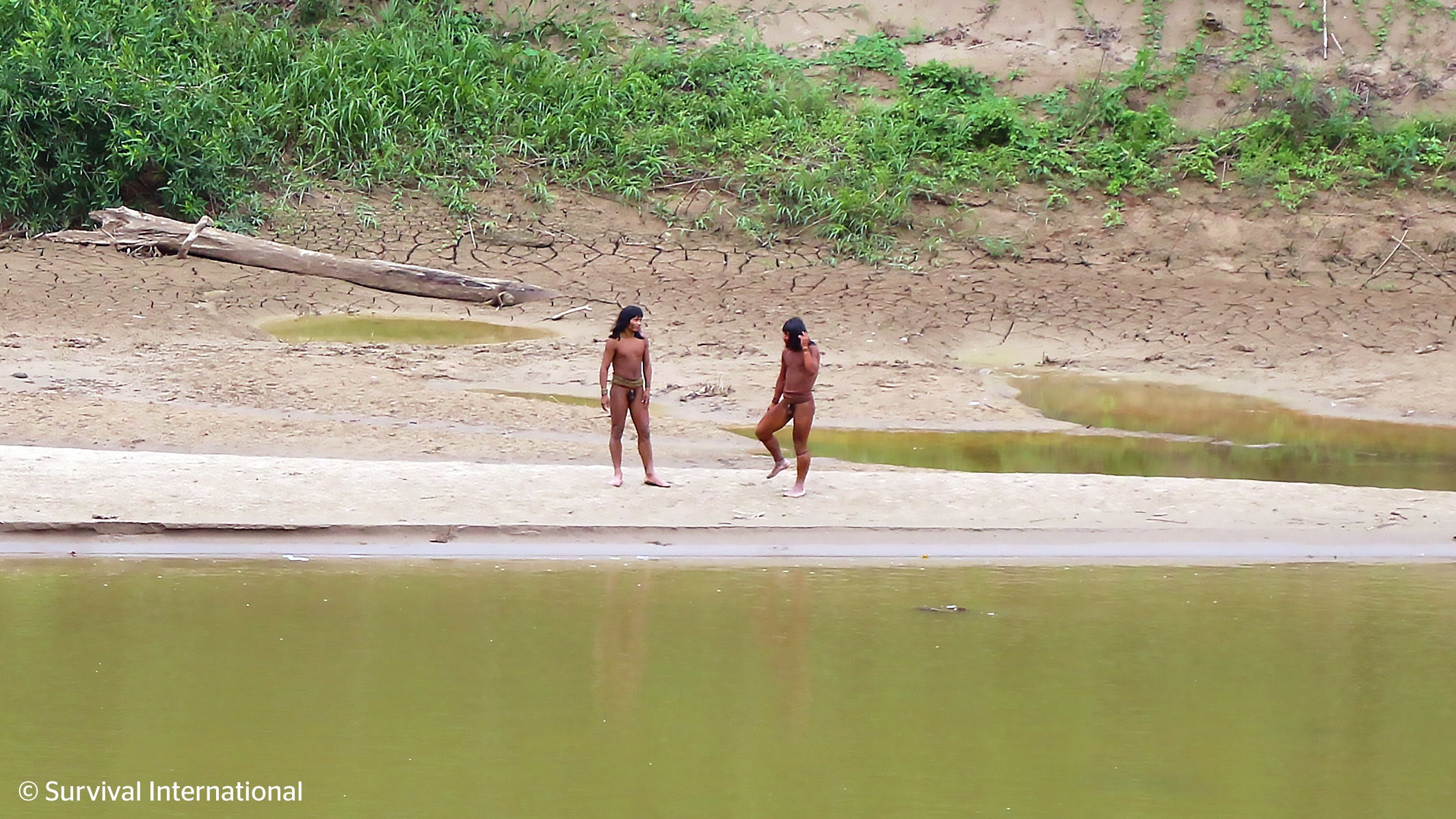 Miembros de la comunidad indígena Mashco Piro, una tribu aislada y una de las más inaccesibles del planeta