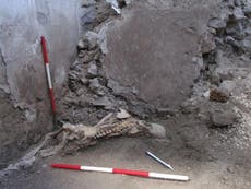 ¿Qué revelan dos nuevos esqueletos hallados en las ruinas de Pompeya?
