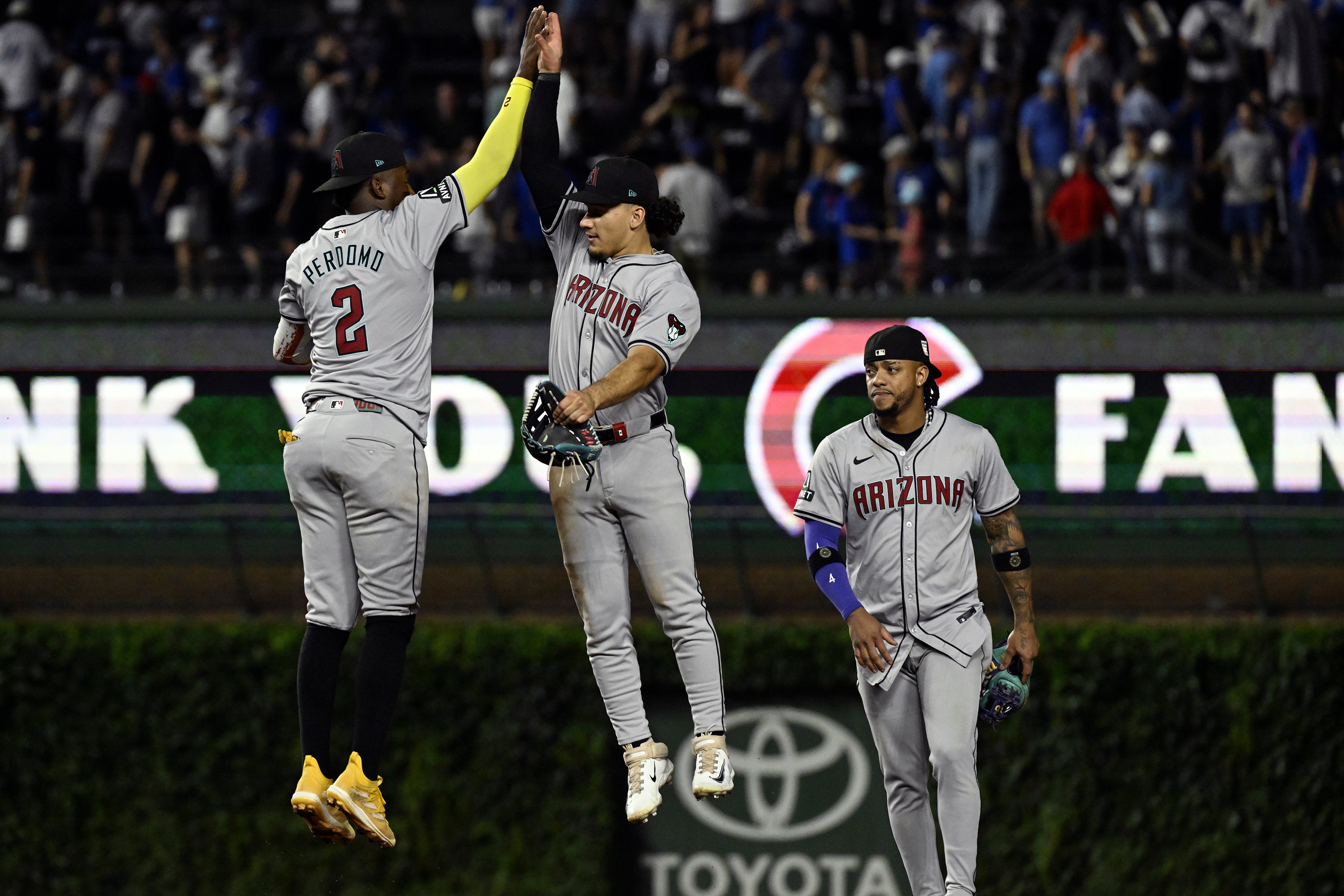 DIAMONDBACKS-CACHORROS