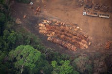 Brasil ampliará la tala selectiva en los próximos 2 años para combatir destrucción de la Amazonía