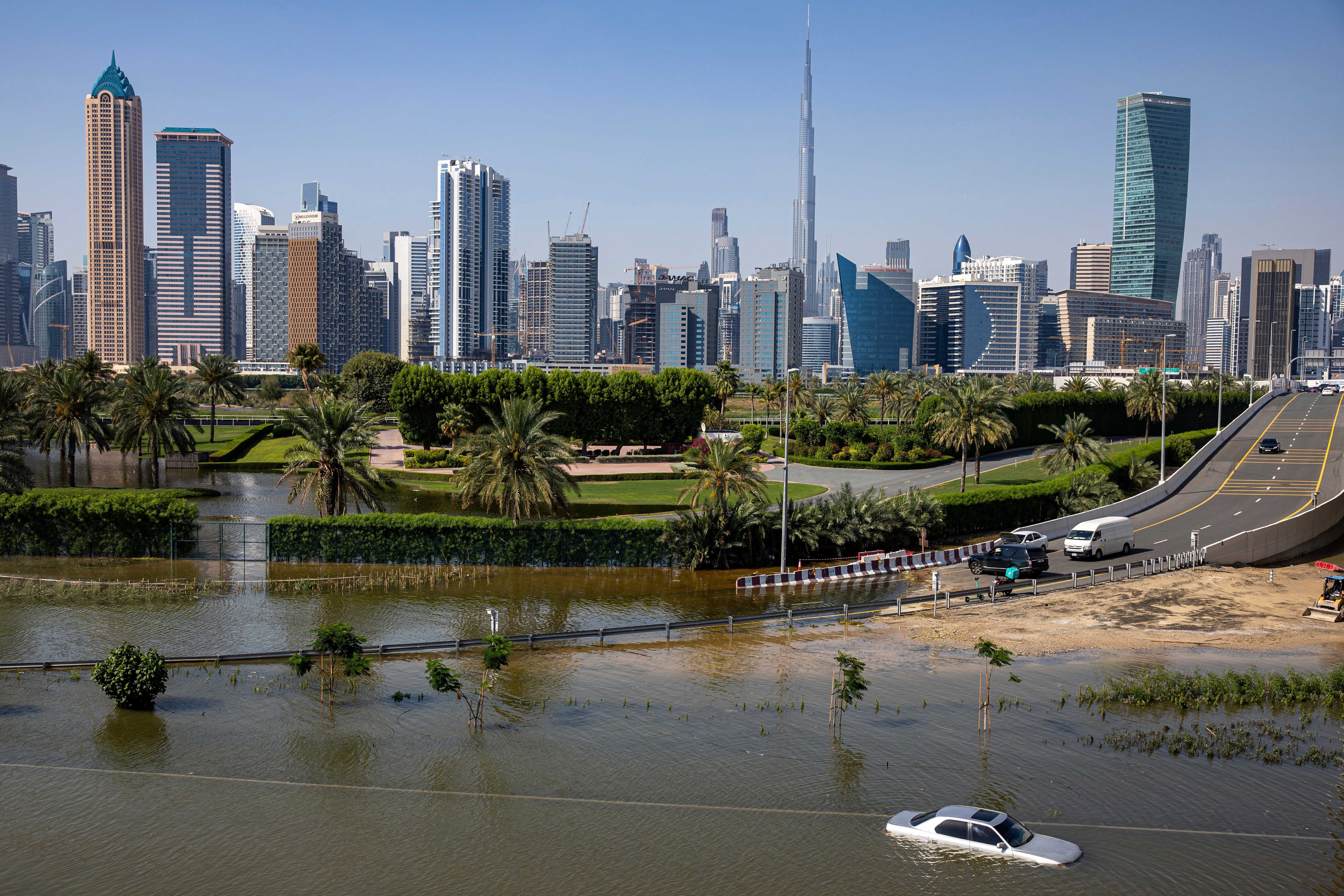 EMIRATOS ÁRABES UNIDOS-DENGUE