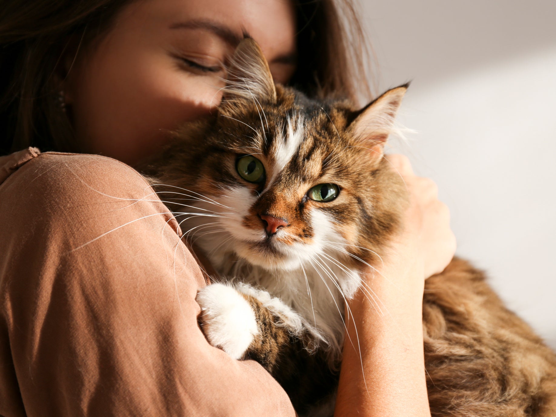 Los dueños de mascotas priorizarán la salud de sus amigos peludos en el 2025