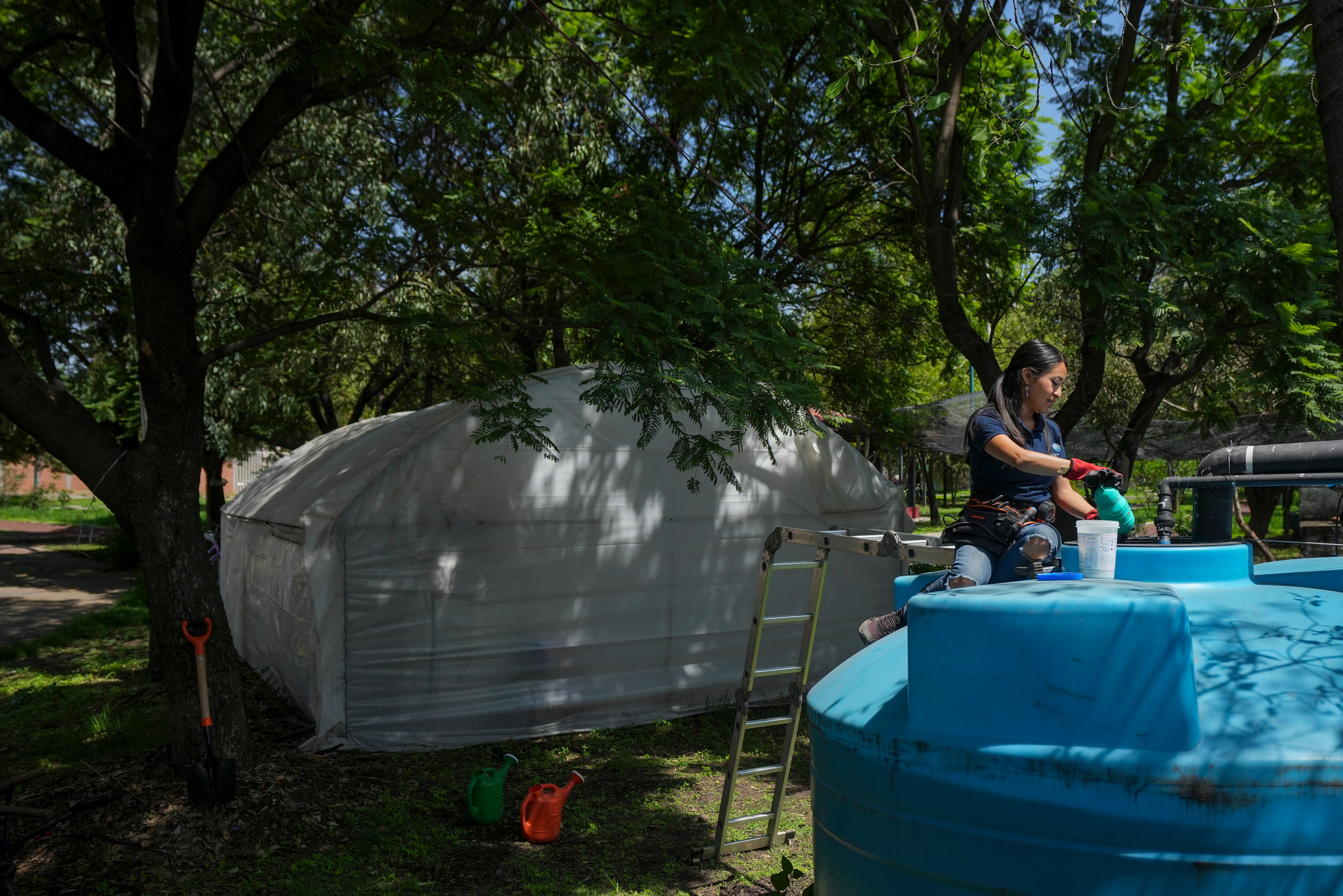 MÉXICO-CAPTACIÓN DE LLUVIA