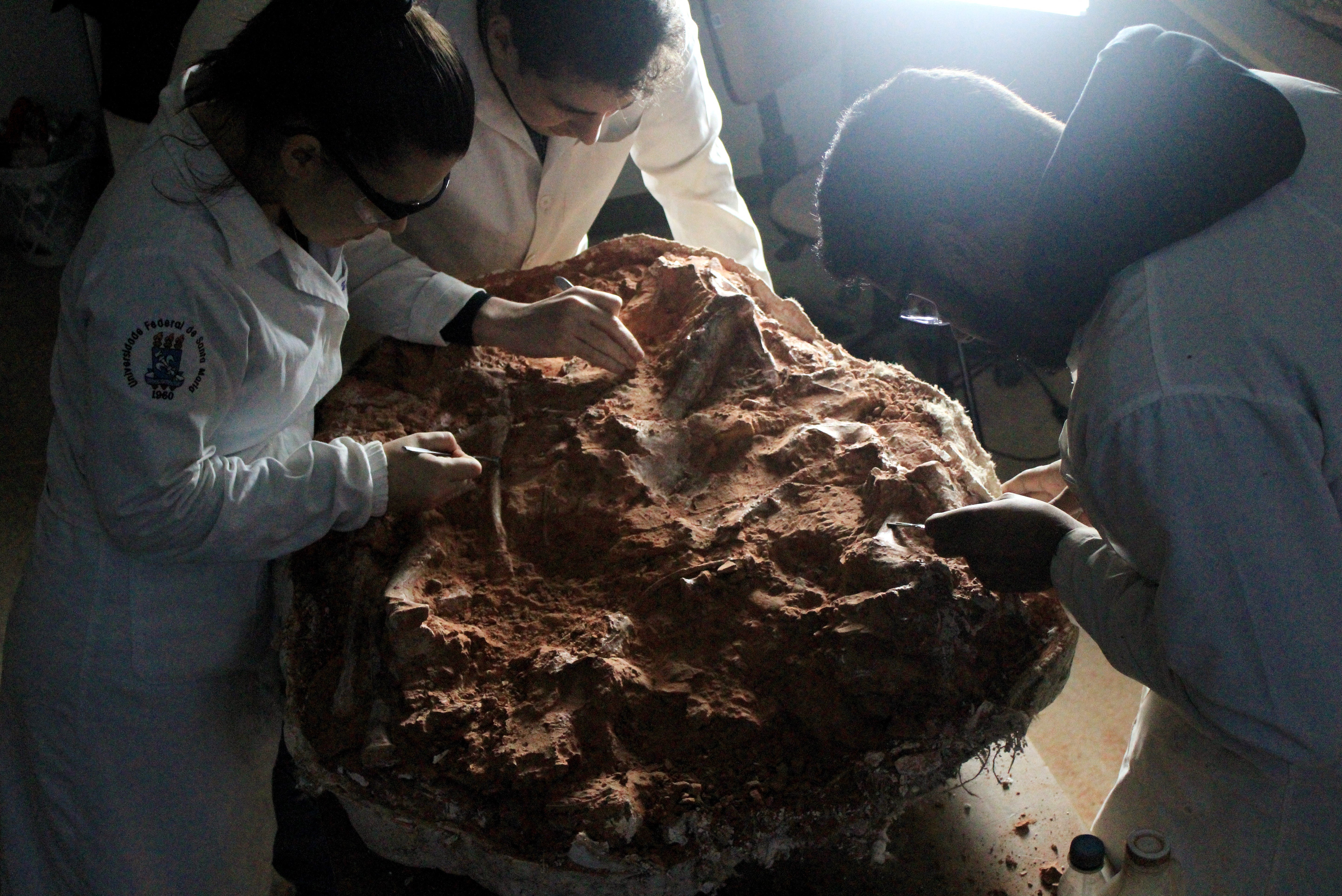 Un paleontólogo examina un fósil de dinosaurio que fue descubierto en la zona de São João do Polêsine, Rio Grande do Sul, Brasil (foto publicada por la Universidad Federal de Santa Maria UFSM el 18 de julio de 2024)