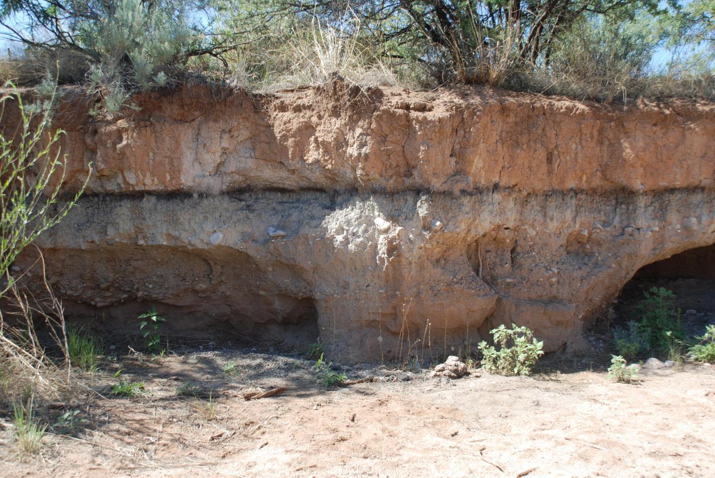 Yacimiento arqueológico en Arizona (EE. UU.) con una capa negra característica, la cual indica que sucedieron cambios medioambientales trascendentales a partir del año 10.800 a. C., aproximadamente