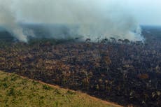 Deforestación en selva amazónica brasileña desciende a su nivel más bajo desde 2016, según gobierno