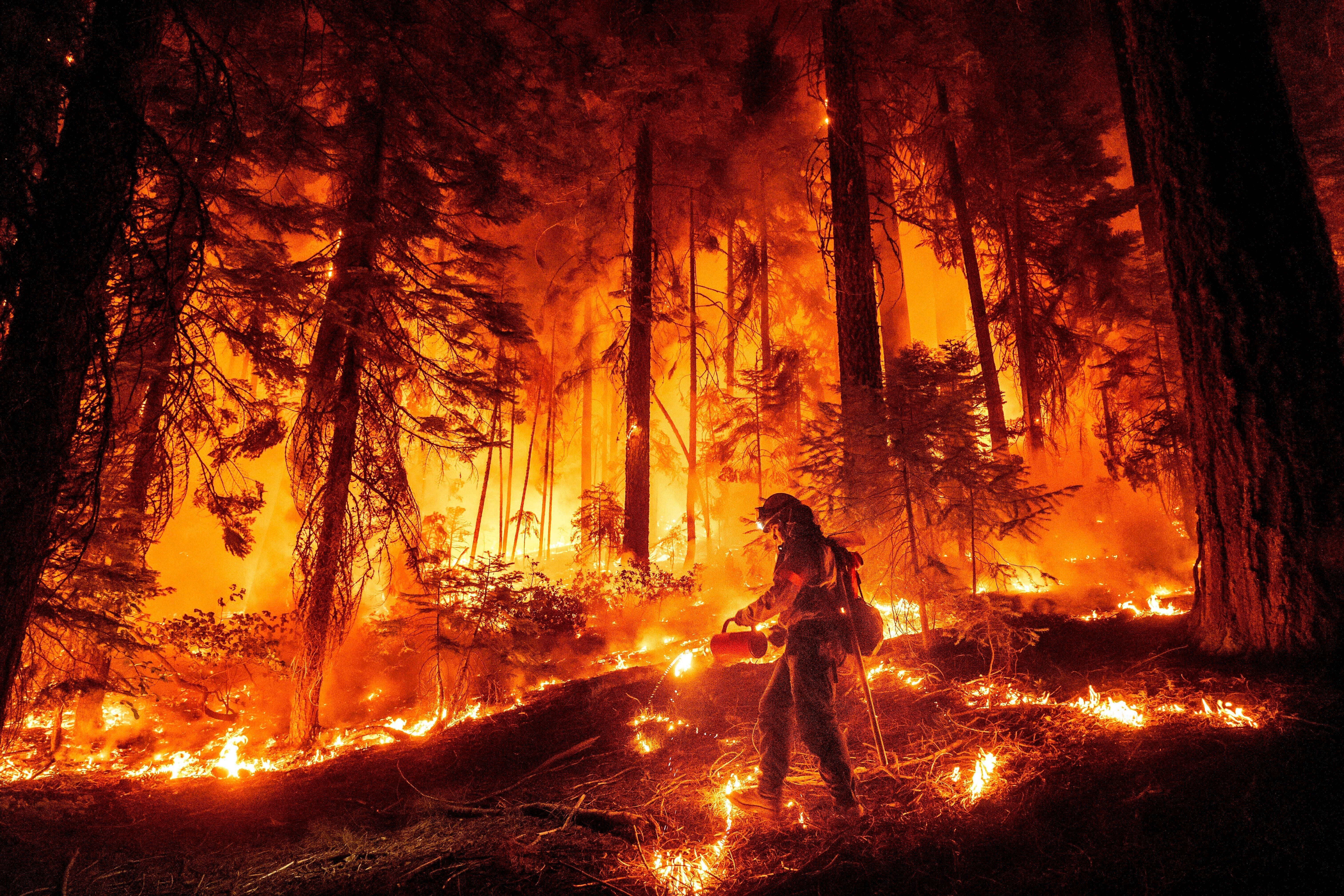 AMN-GEN EEUU-INCENDIOS