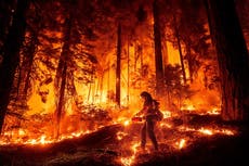 Enorme incendio forestal de California ya está un 40% controlado