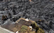 Incendios forestales en oeste de Turquía amenazan viviendas y monumentos de la batalla de Gallipoli