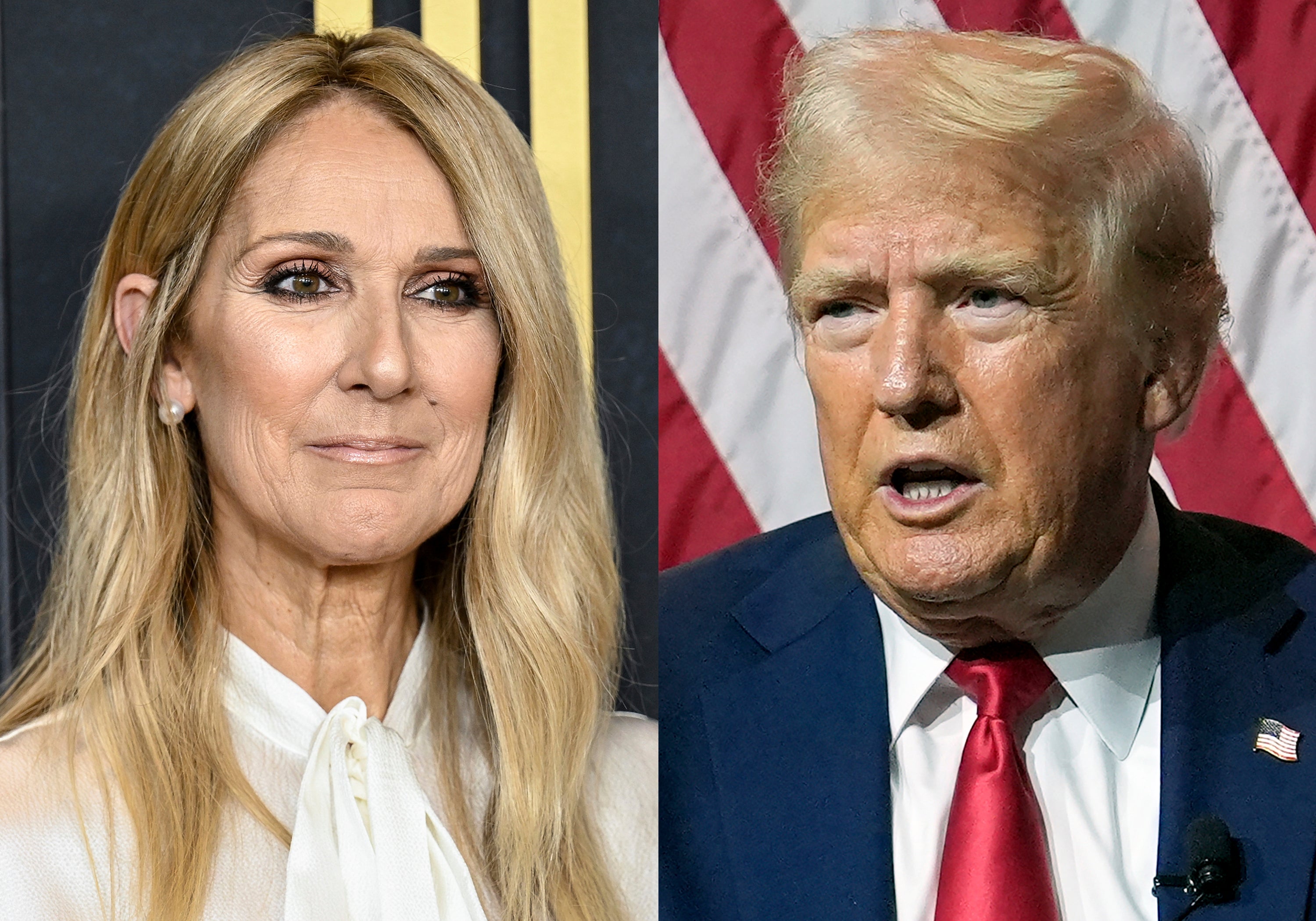 DONALD TRUMP-CANCIONES