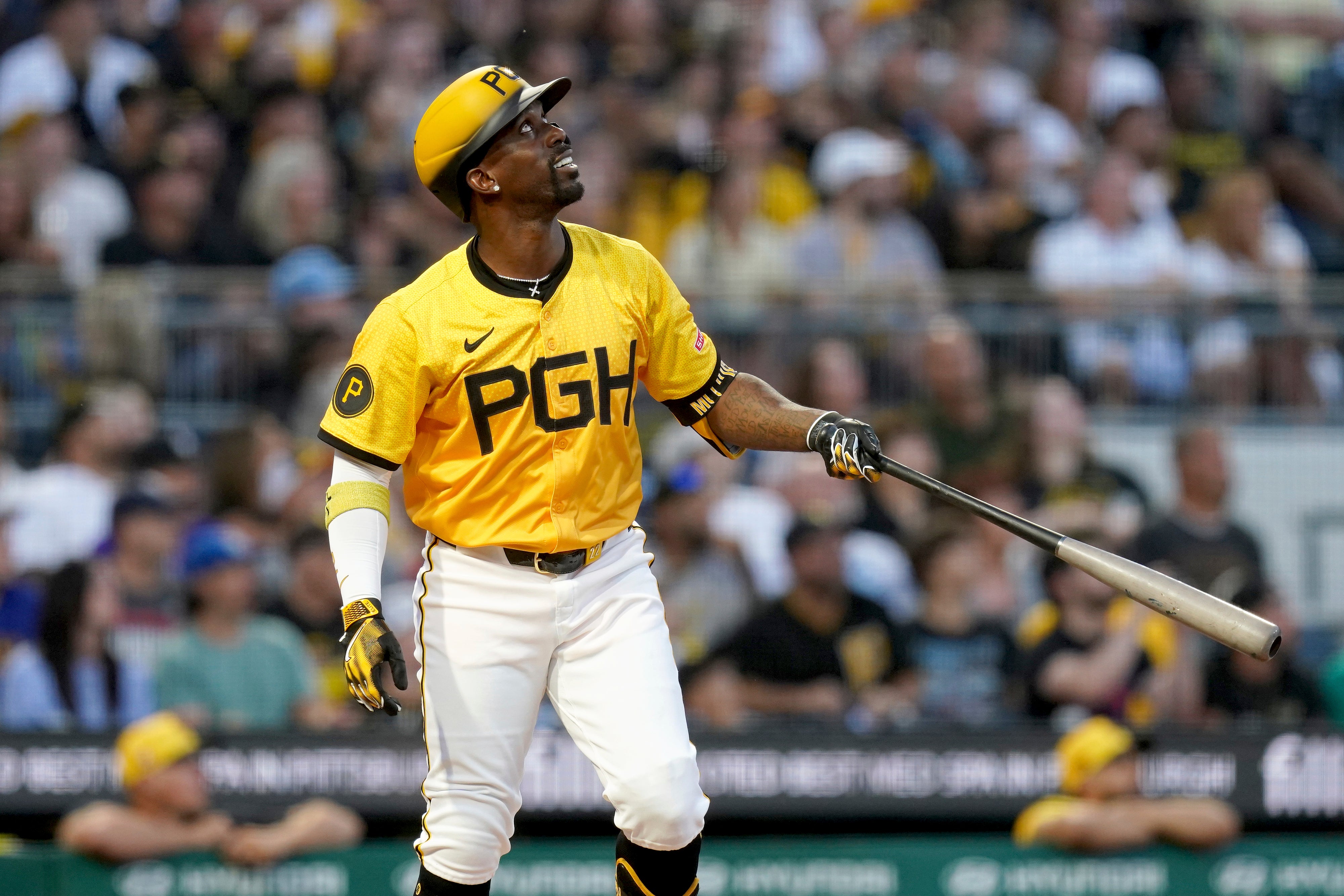 PIRATAS-MCCUTCHEN