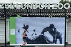 Zoo de Londres retira mural de animales de Banksy para protegerlo