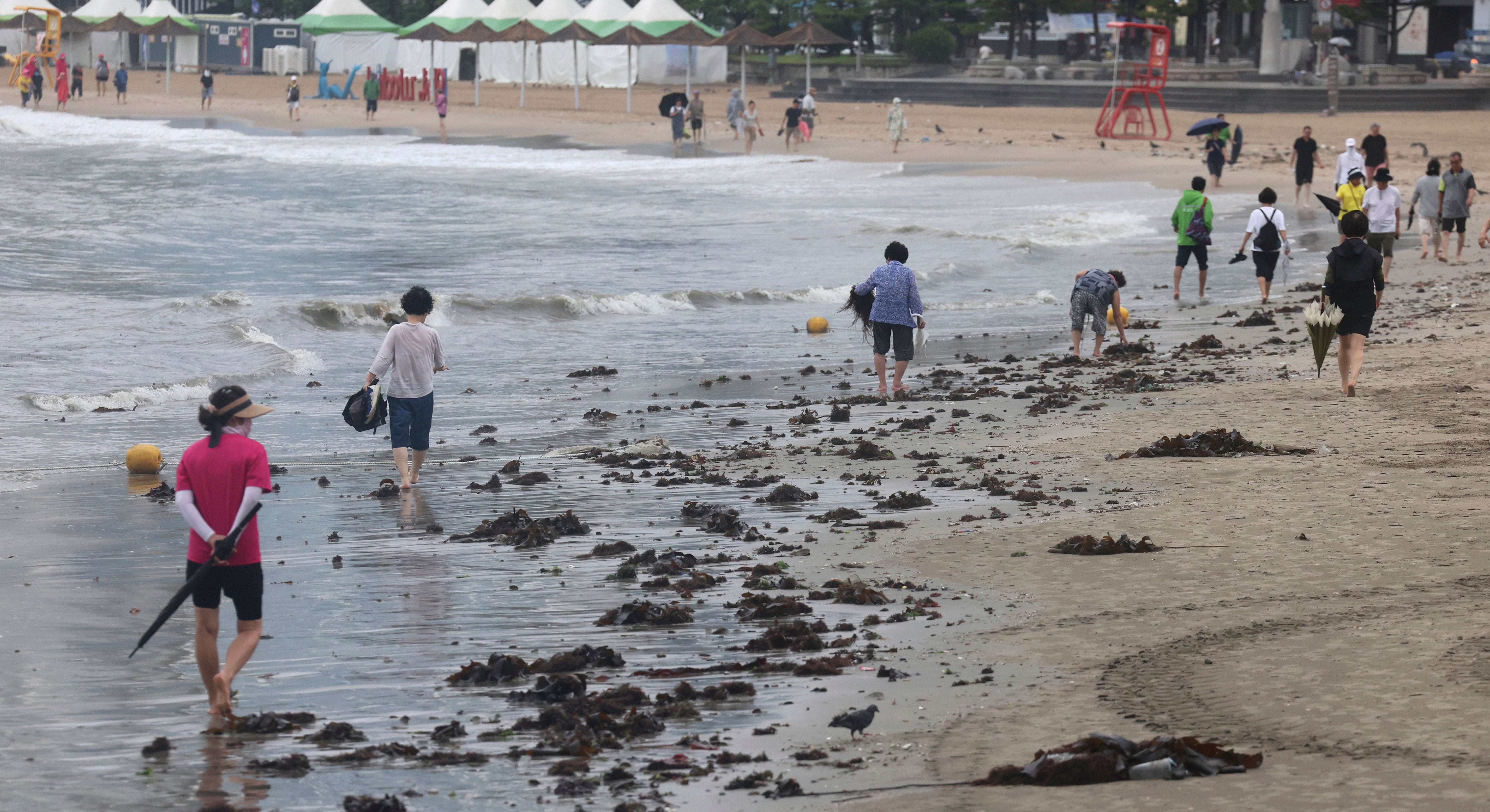 COREA DEL SUR-TORMENTA