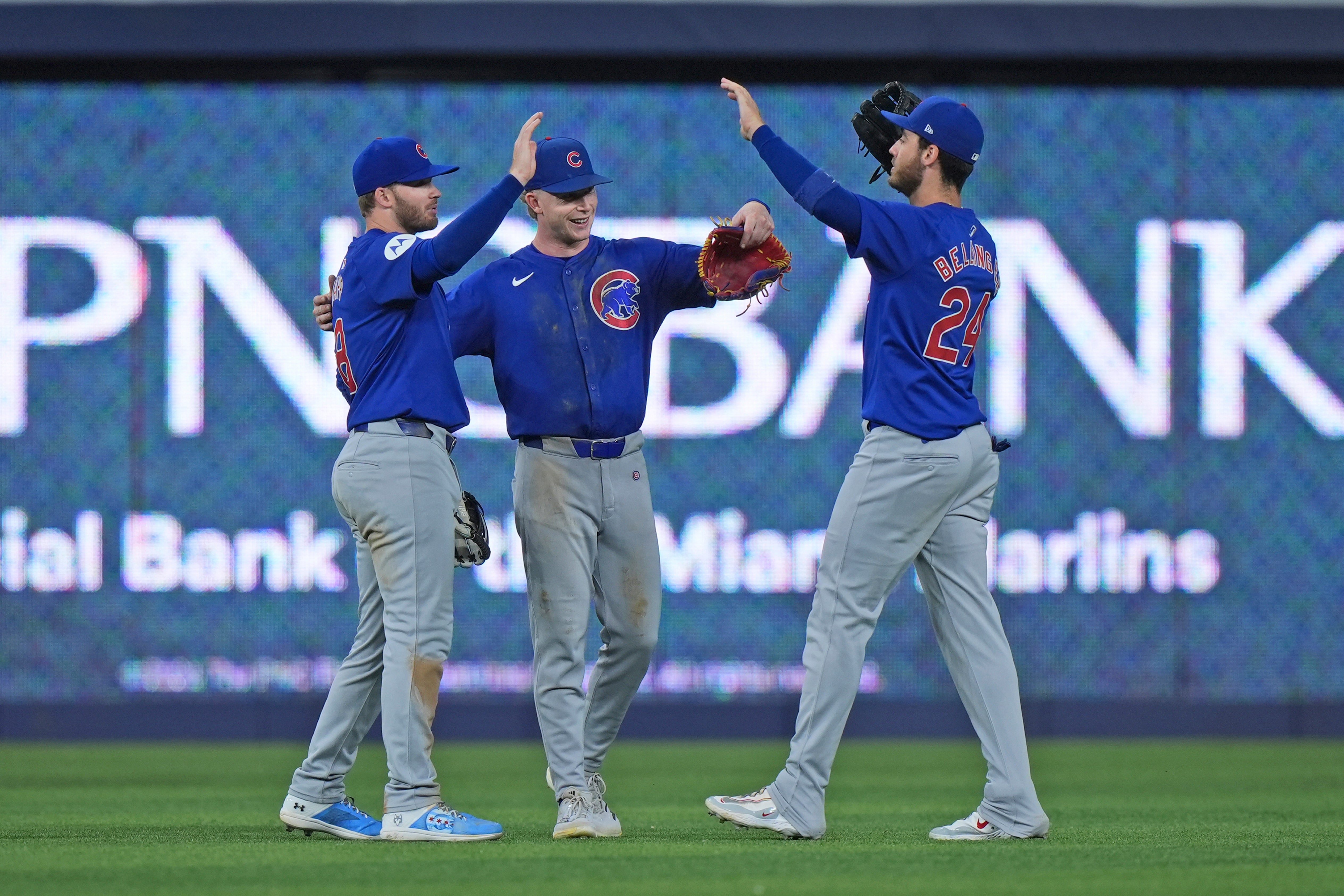 CACHORROS-MARLINS