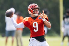 Bengals y Browns esperan mejor salud de sus quarterbacks en el Norte de la Americana